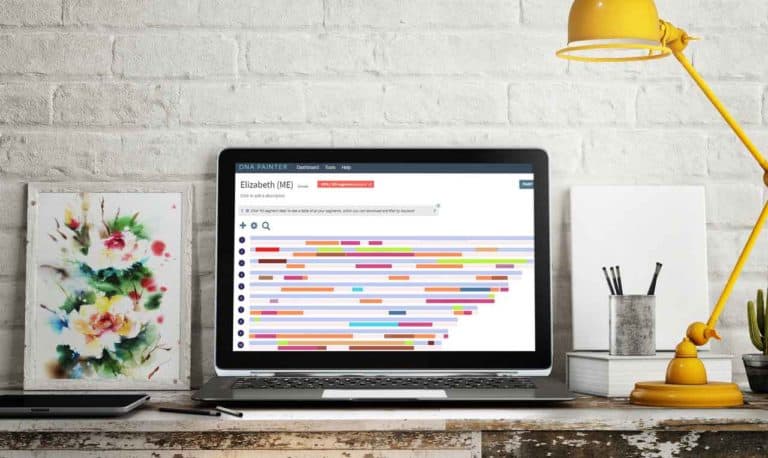 A computer showing the DNA Painter website
