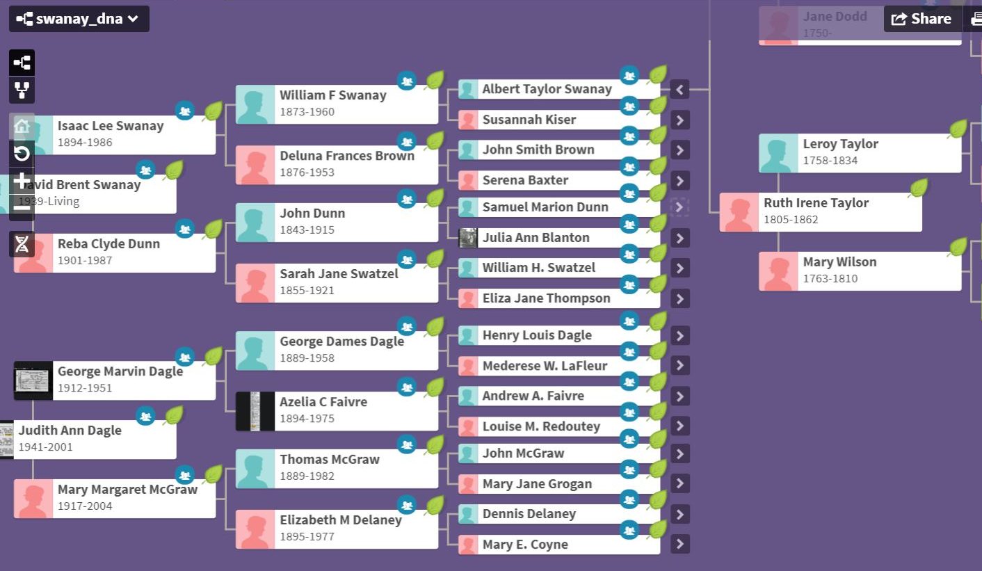 Download Your Ancestry Family Tree in 4 Easy Steps!