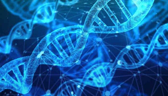 Review: "NextGen Genealogy: The DNA Connection" 2 Blue DNA double helixes