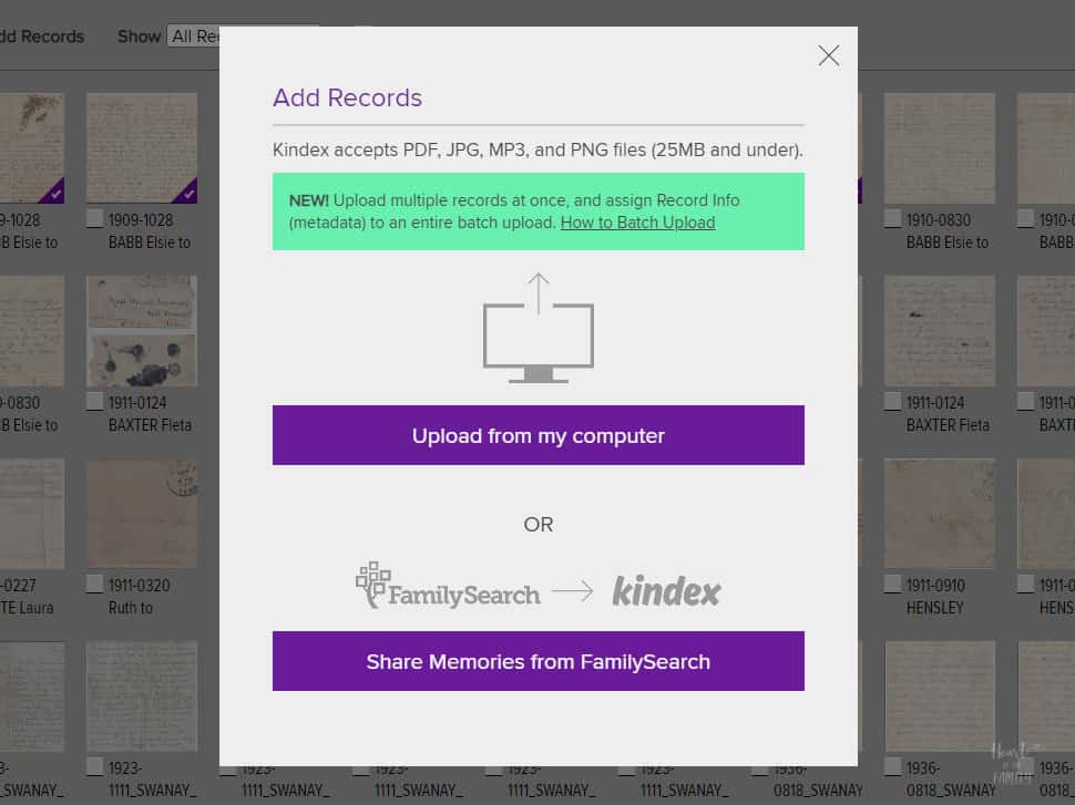 Collaborate and Share with a Kindex® Family Archive 3 Image of the Kindex Add Records window.