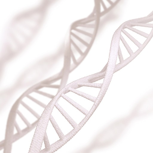 Lectures 9 image of dna strands