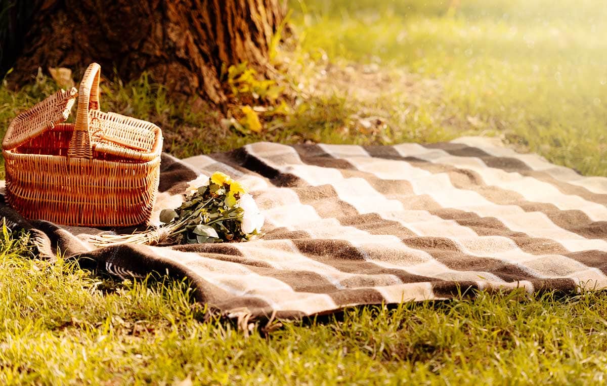 Image of a picnic basket on a brown and beige striped blanket
