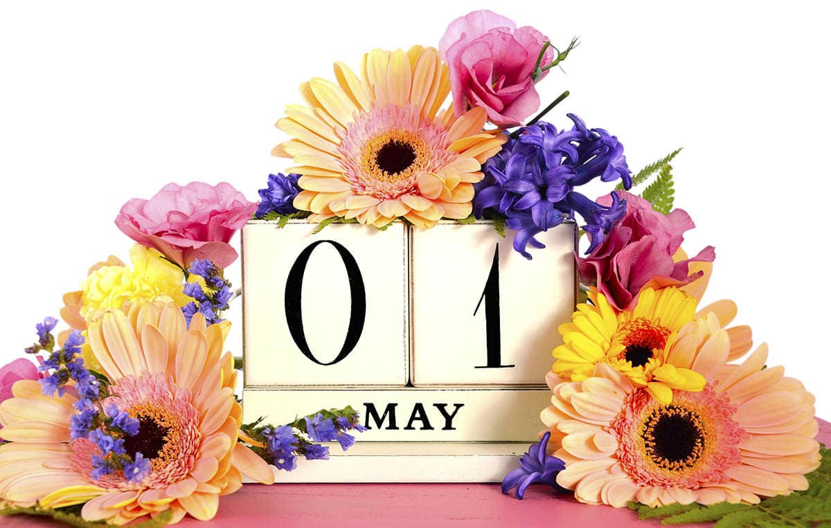 Image: Calendar showing 1 May, or May Day, covered in pink, peach, and yellow gerbera daisies and roses.