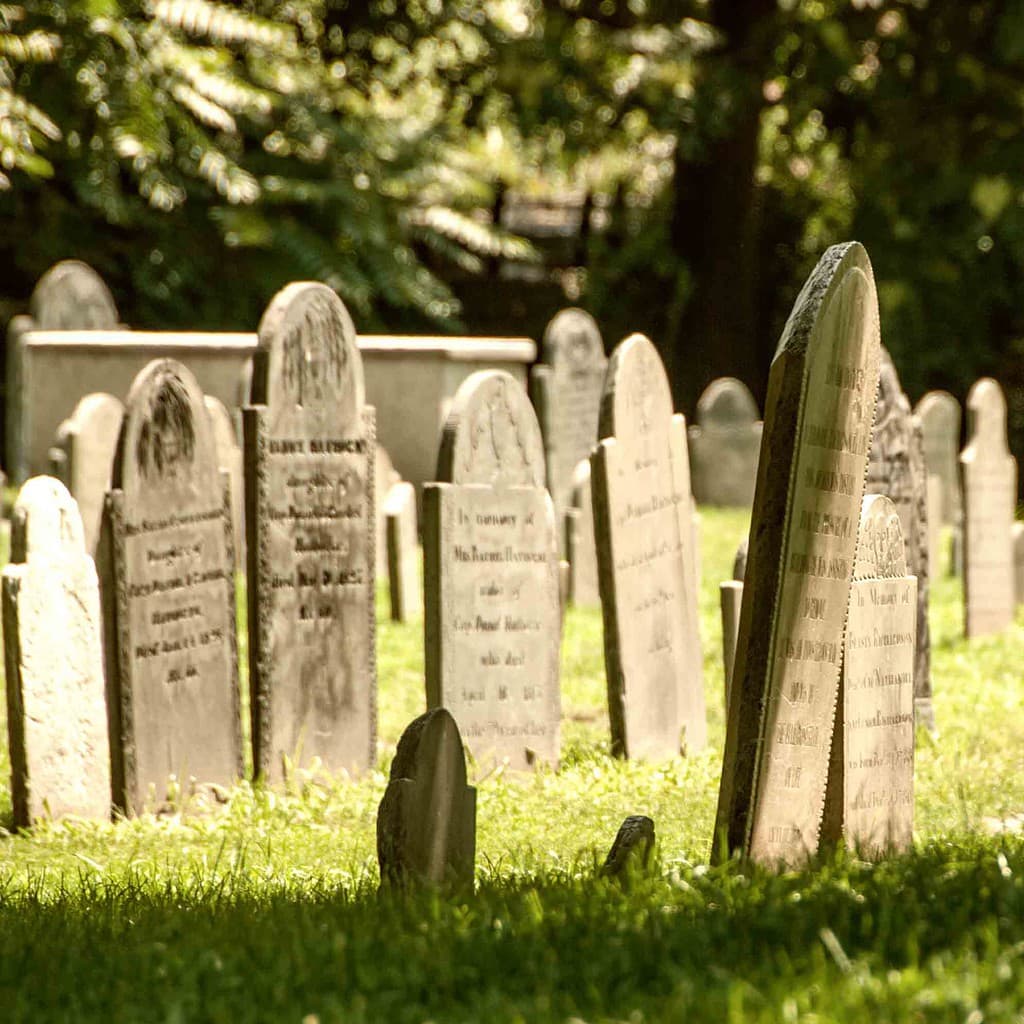 Lectures 12 ancestor death date