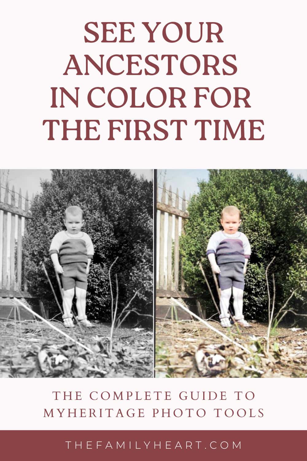 Colorize Old Photos for Free With MyHeritage in Color (And So Much More) 18 myheritage photo tools pin 2026