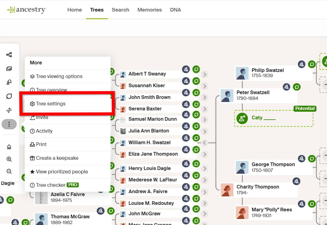 How to Download Your Ancestry Family Tree as a GEDCOM File 2 Step 1 illustration